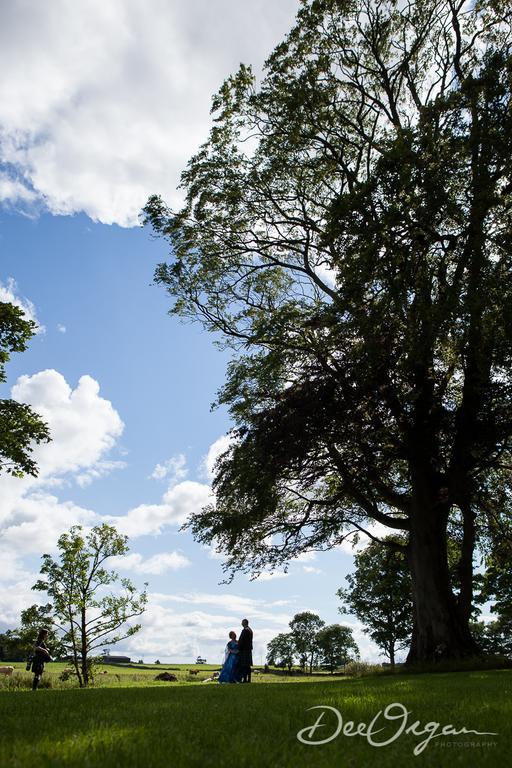 Hôtel Galway Glamping à Tuam Extérieur photo