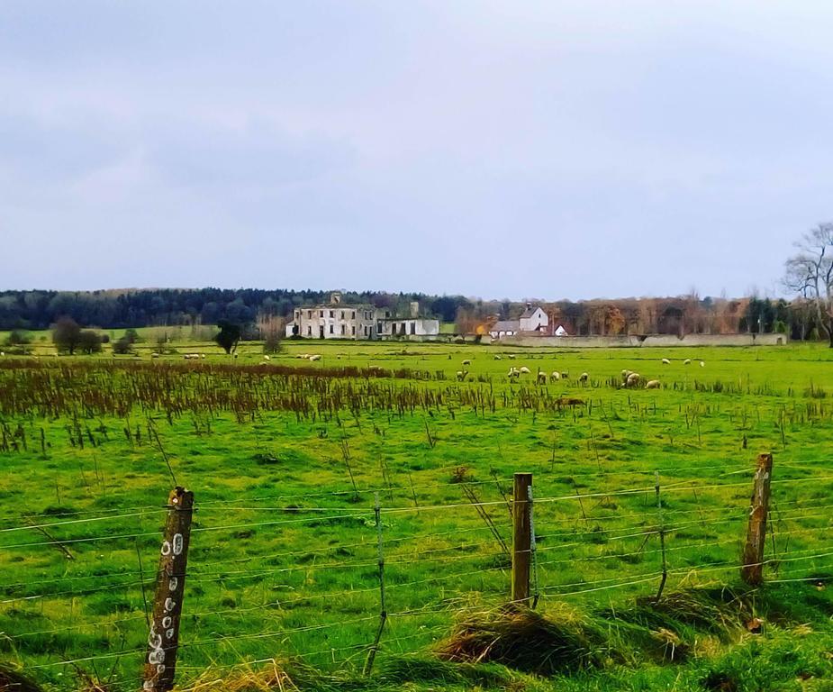 Hôtel Galway Glamping à Tuam Extérieur photo