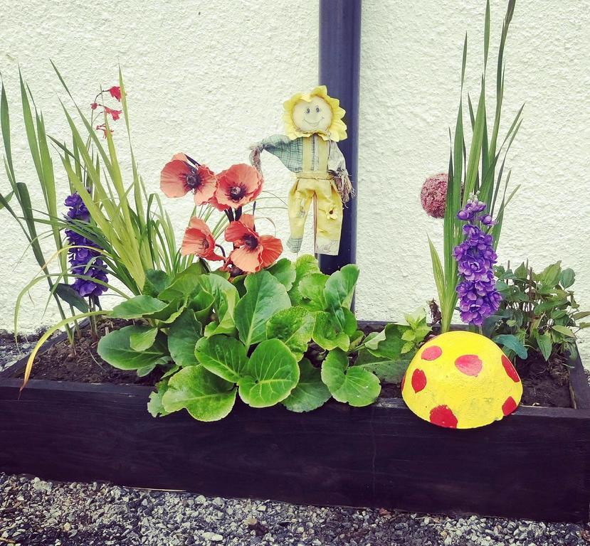 Hôtel Galway Glamping à Tuam Extérieur photo