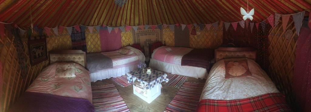 Hôtel Galway Glamping à Tuam Extérieur photo